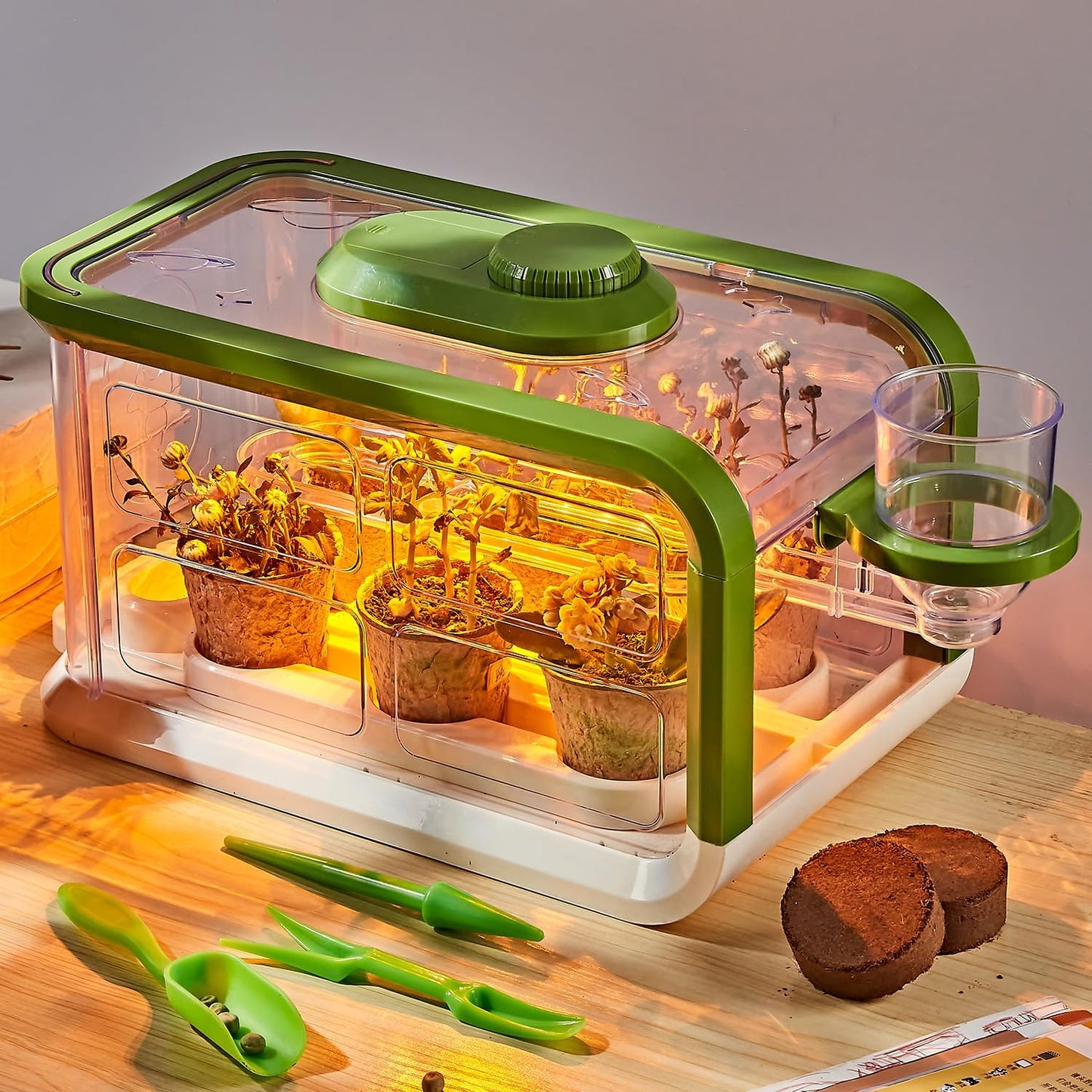 Kids Plant Growing Kit, Kids Gardening Greenhouse Growing Kit with Drip Irrigation and Grow Lights, Science STEM Toys Terrarium Kit for Boys Girls 3 4 5 6 7 8 Year Old,Kids Flower Growing Kit